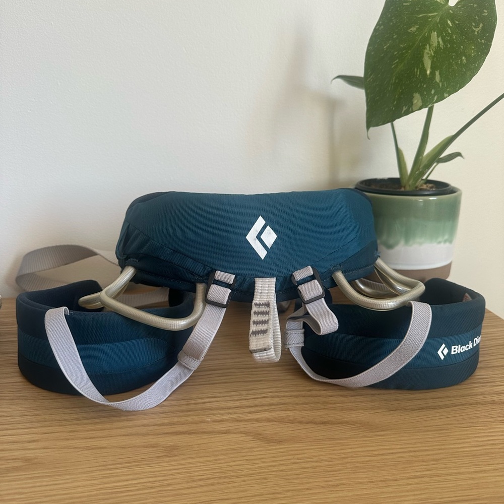 Black Diamond Climbing Harness - Teal and Gray
